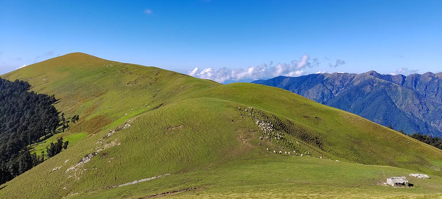 Ali Bedni Bugyal Trek